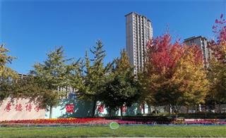 学校环境